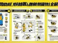 三角洲行动蜂医救援技巧全解析